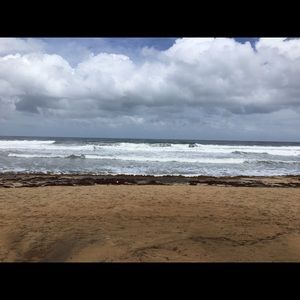 Meet your Posher, Ida